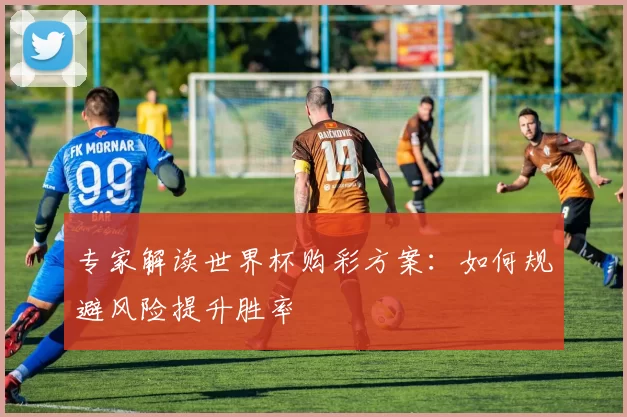 专家解读世界杯购彩方案：如何规避风险提升胜率