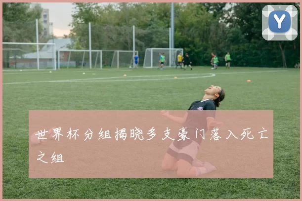 世界杯分组揭晓多支豪门落入死亡之组