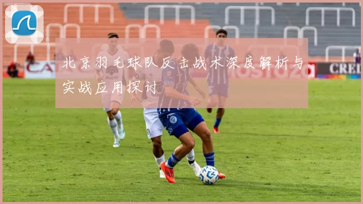 北京羽毛球队反击战术深度解析与实战应用探讨