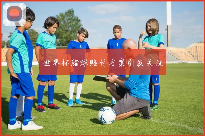 世界杯赌球赔付方案引发关注