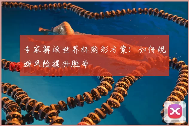 专家解读世界杯购彩方案:如何规避风险提升胜率