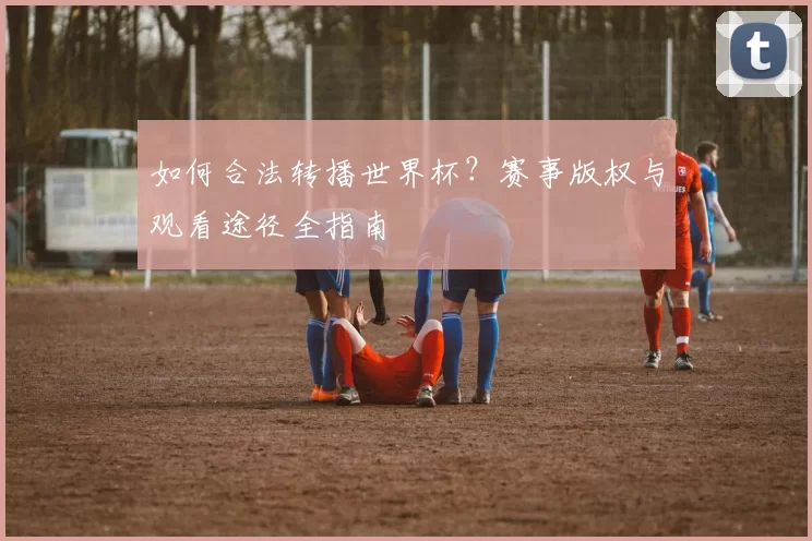 如何合法转播世界杯？赛事版权与观看途径全指南