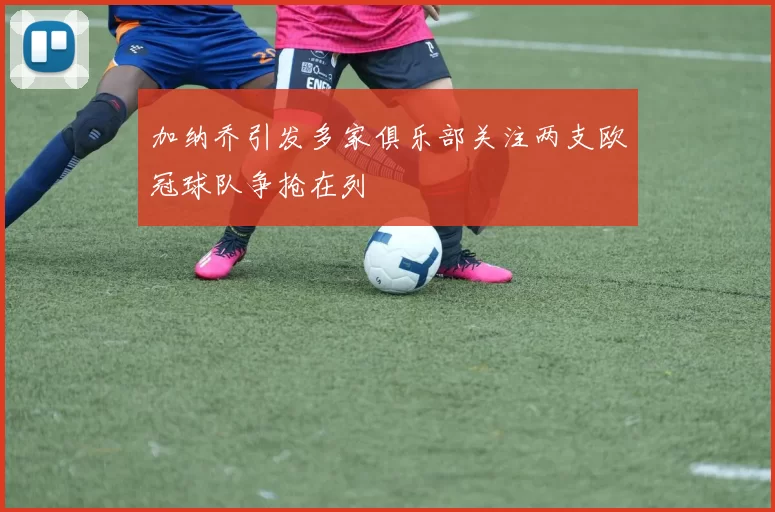 加纳乔引发多家俱乐部关注两支欧冠球队争抢在列