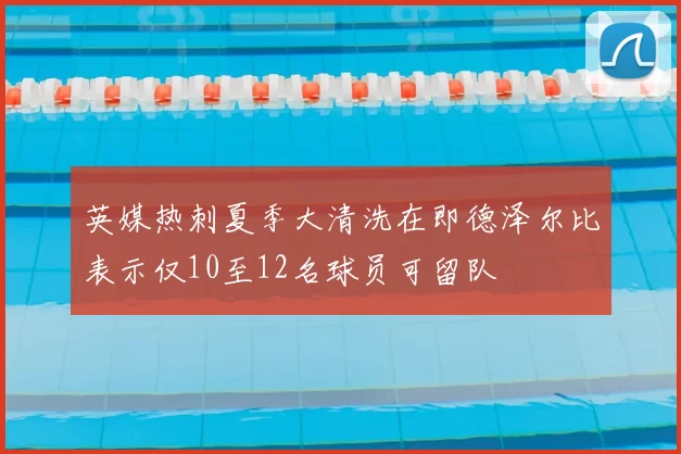 英媒热刺夏季大清洗在即德泽尔比表示仅10至12名球员可留队
